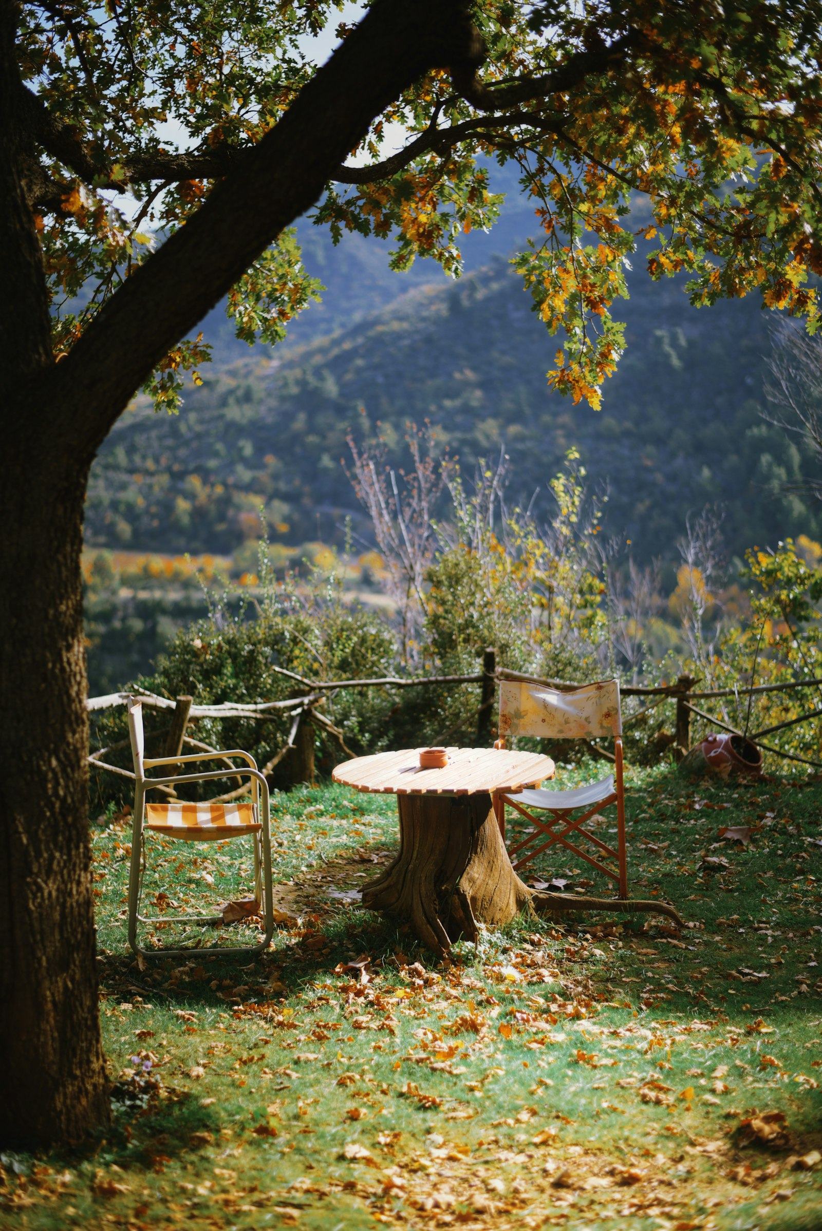 Chairs and a small table under a tree overlooking hills