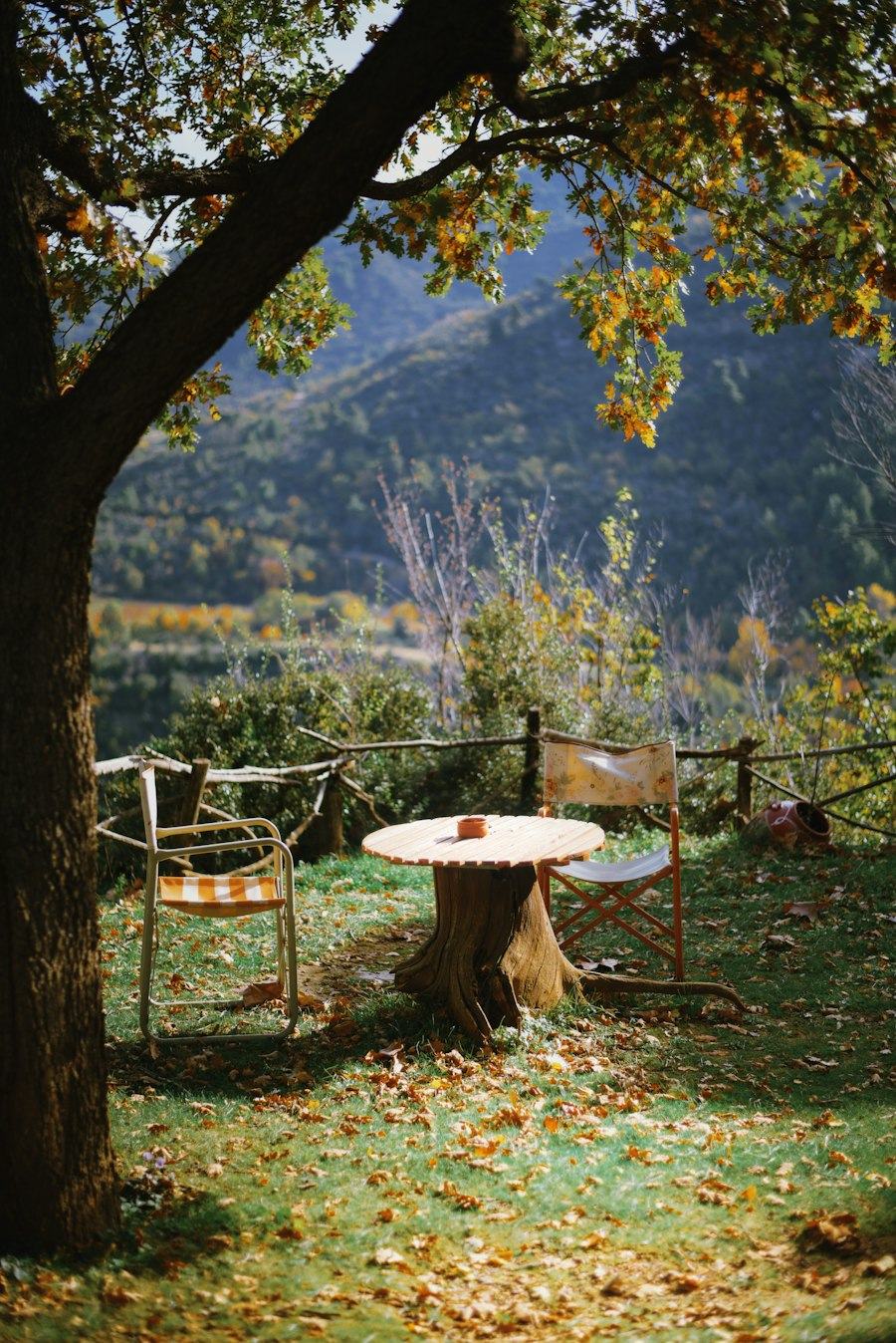 Chairs and a small table under a tree overlooking hills