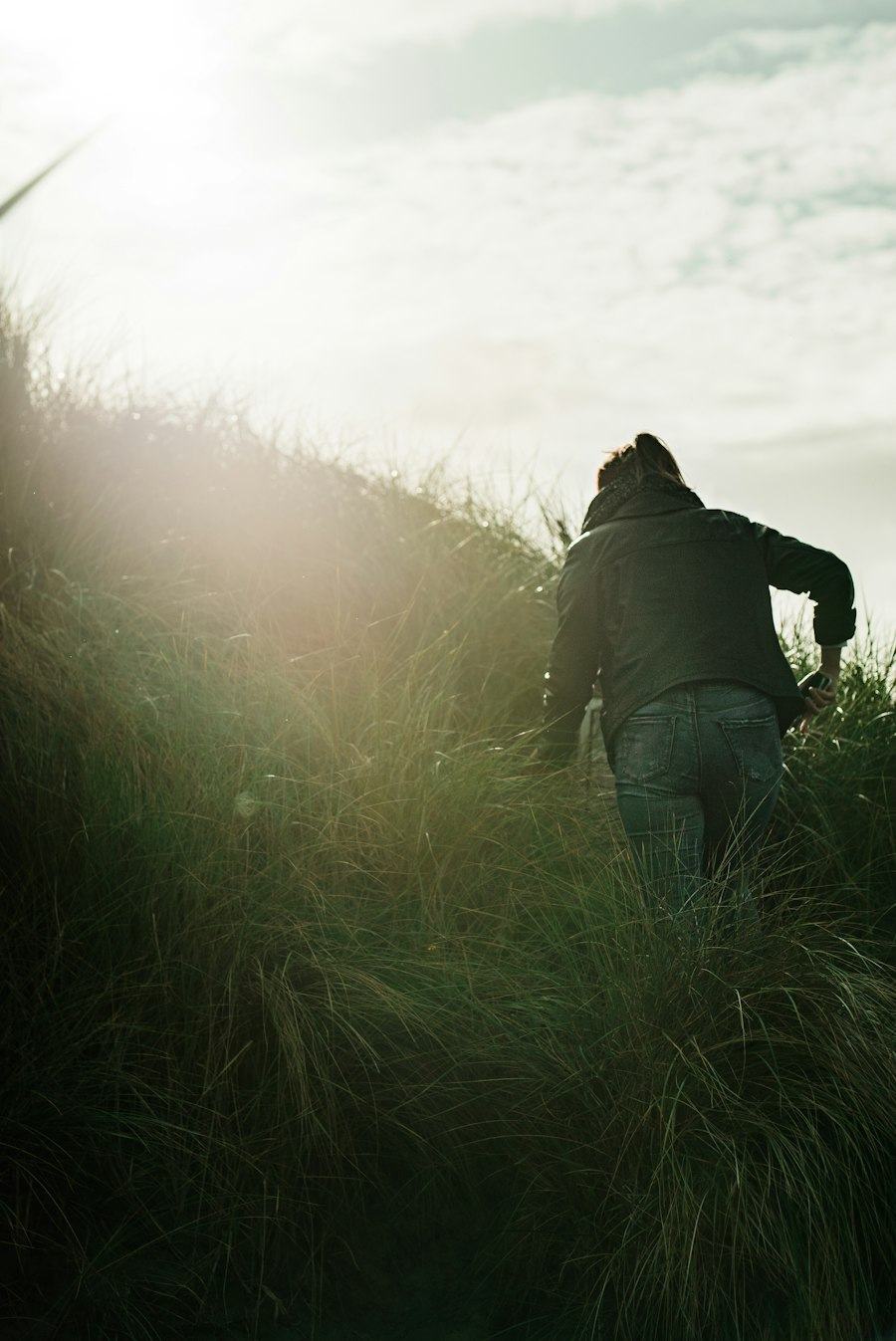 A person walking alone through tall grass