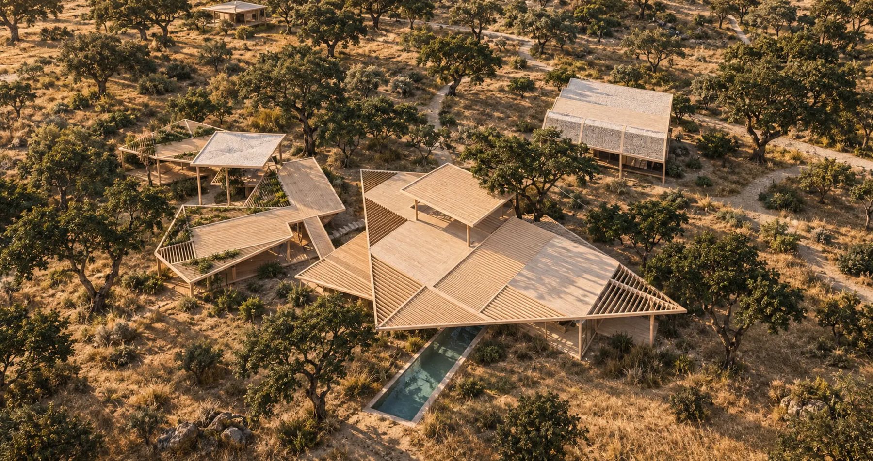 Aerial view of a villa with folded timber roofs and a narrow pool among cork oaks
