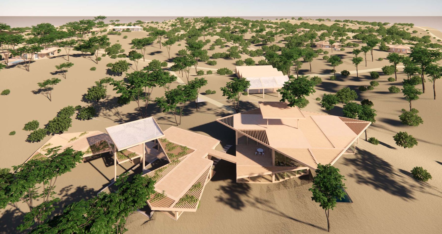 Aerial concept render of a cluster of pavilions among cork oaks