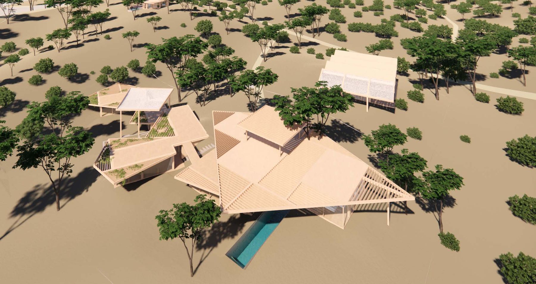 Aerial concept render of low timber pavilions with a pool among cork oaks