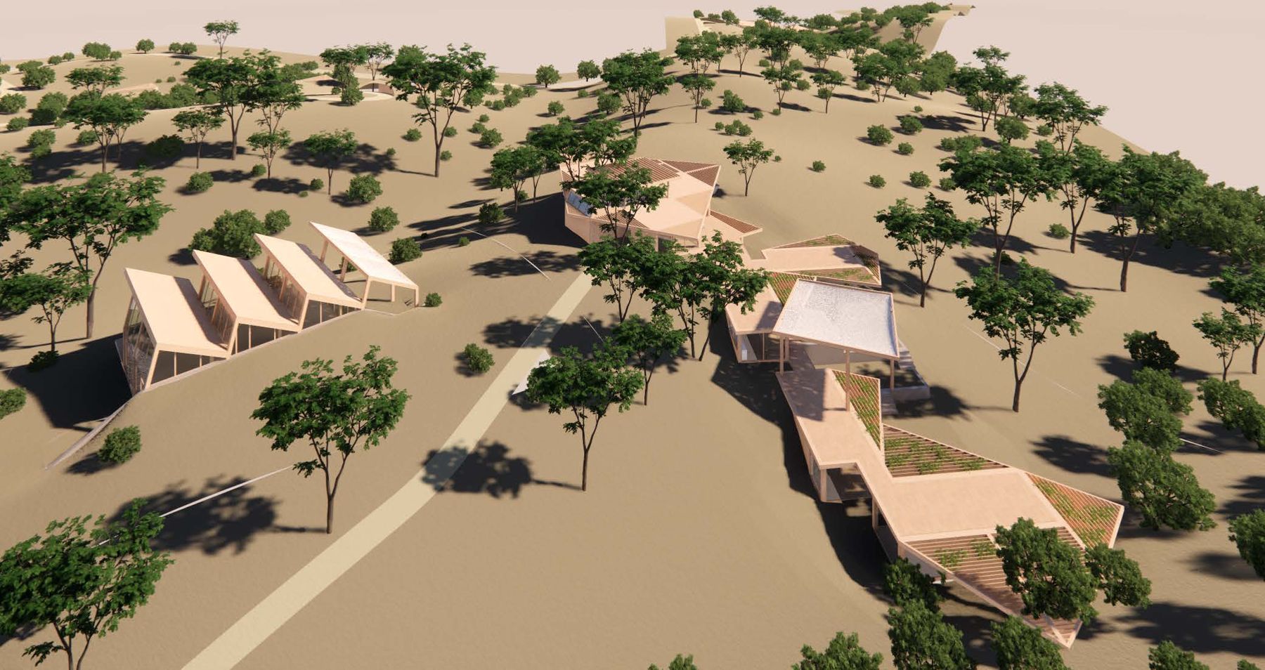 Aerial concept render of bungalow clusters among cork oaks