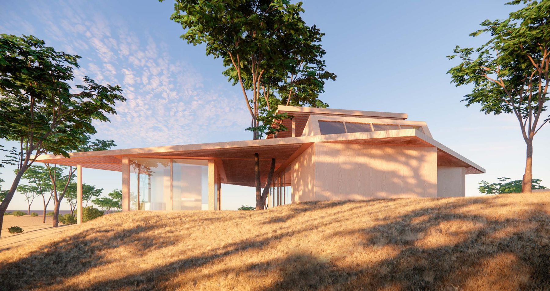 Concept render of a villa with a butterfly roof among cork oaks