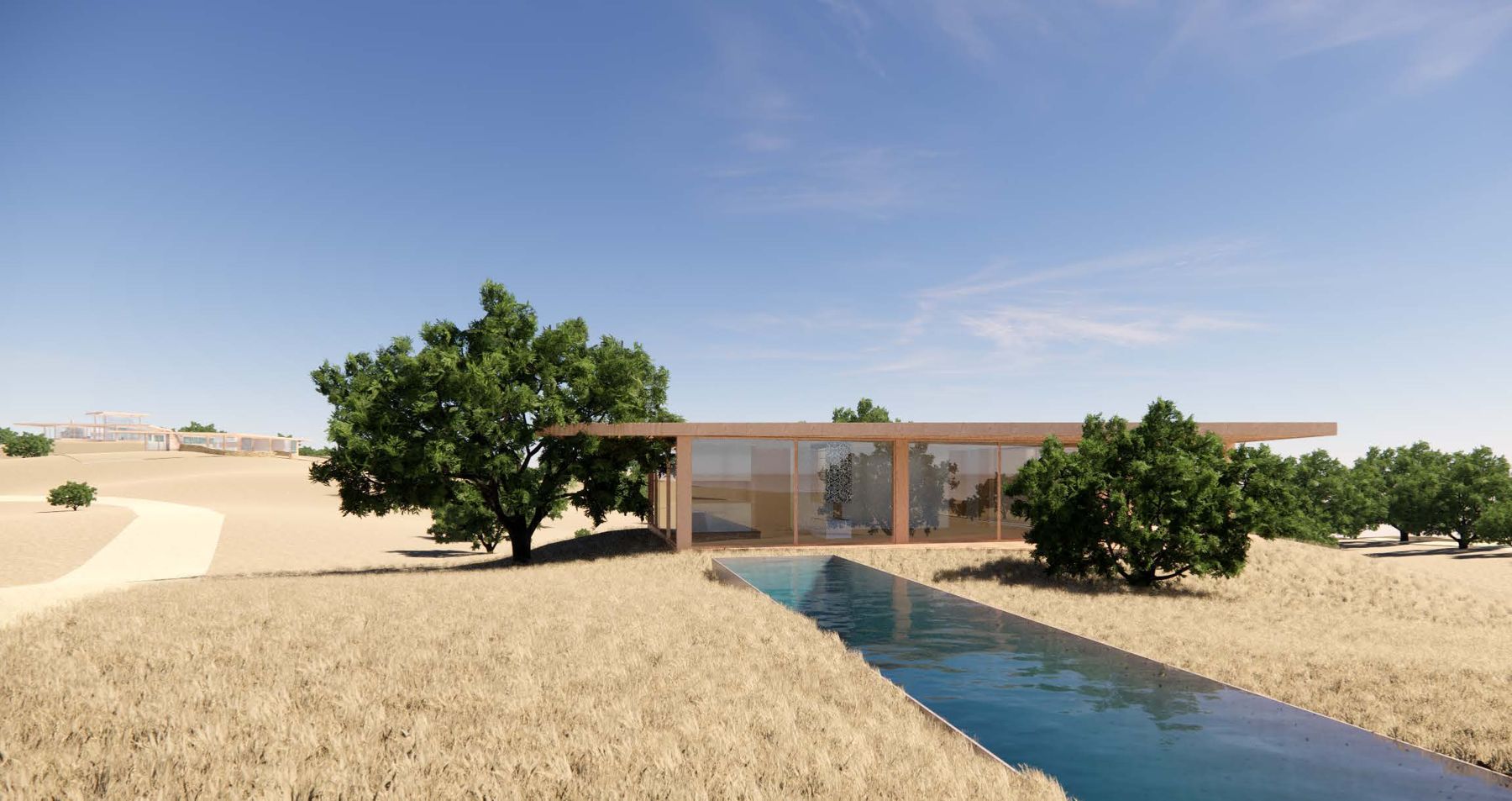 Concept render of a villa with a pool beneath a mature cork oak