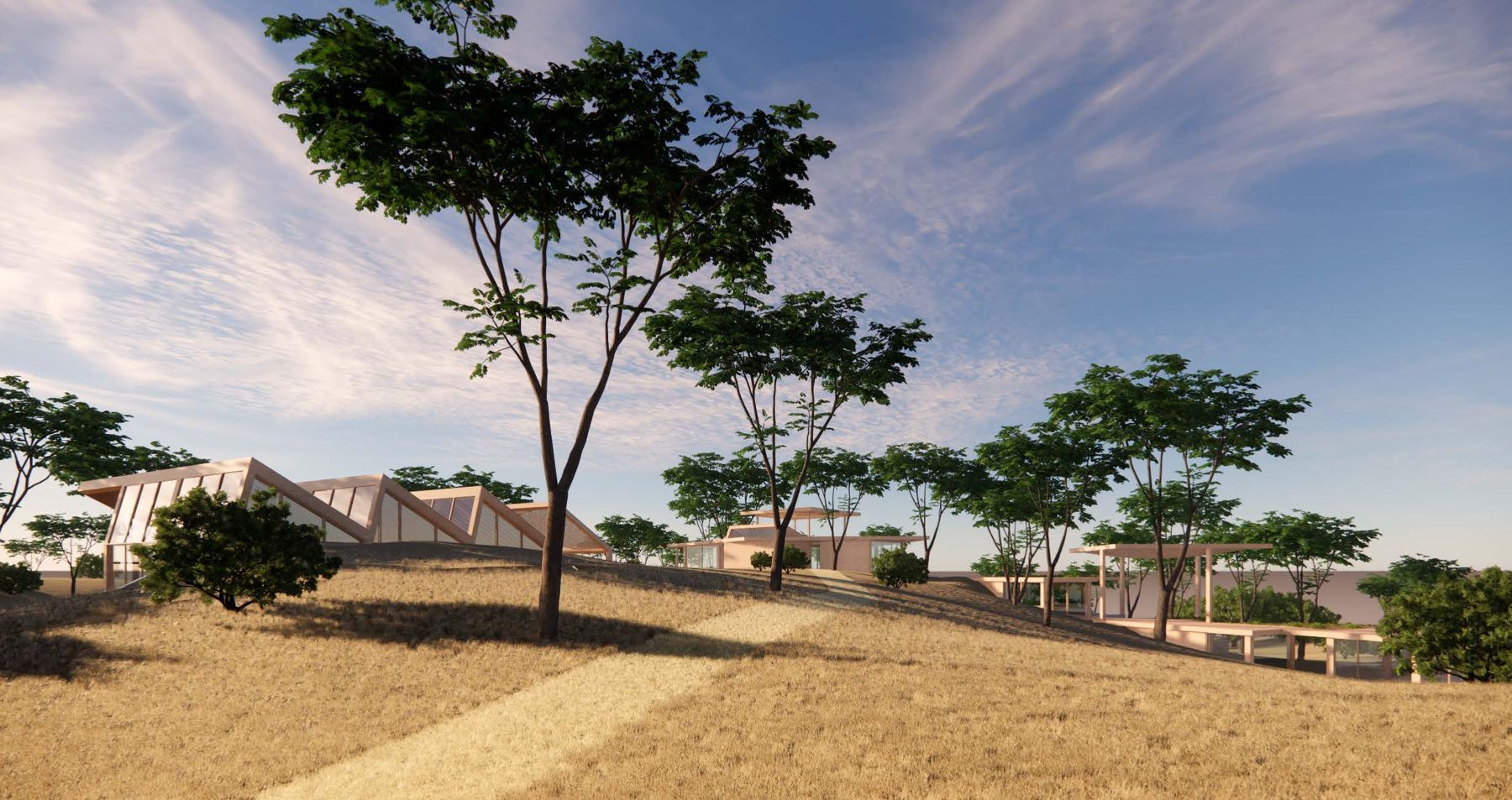 Concept render of a low pavilion beside a cork oak